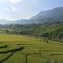 Горящие туры в отель Viet Tuan Hotel - 1
