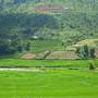 Горящие туры в отель Mrs Soi's Homestay - 3