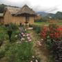 Горящие туры в отель Golden Rice Garden - 2