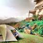 Горящие туры в отель Haven Sapa Hostel & Campsite - 2
