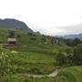 Горящие туры в отель Mary homestay - 3