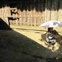 Горящие туры в отель Lazy Crazy Homestay - 4