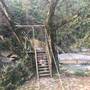Горящие туры в отель Cau May Homestay - 2