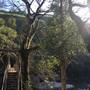 Горящие туры в отель Cau May Homestay - 3