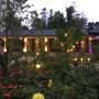 Горящие туры в отель Sapa Garden Resort - 1