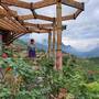 Горящие туры в отель Sapa Clay House - 5
