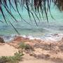 Горящие туры в отель Life's a Beach Backpacker - 6
