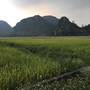 Горящие туры в отель Limestone View Homestay - 6