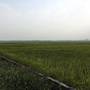 Горящие туры в отель Limestone View Homestay - 5
