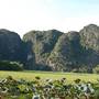Горящие туры в отель Trang An Farm Stay - 3