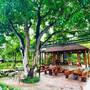 Горящие туры в отель Ninh Binh Family Homestay - 6