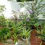 Горящие туры в отель Van Long Homestay - 2