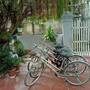 Горящие туры в отель Van Long Homestay - 4