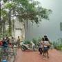 Горящие туры в отель Van Long Homestay - 6