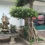 Горящие туры в отель Thanh Dat 2 Hotel - 6