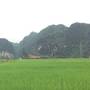 Горящие туры в отель Tam Coc Homestay - 5