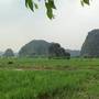 Горящие туры в отель Tam Coc Homestay - 2
