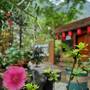 Горящие туры в отель Hoalu Ecolodge Homestay - 6