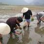 Горящие туры в отель Tam Coc Rice Fields Resort - 2