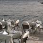 Горящие туры в отель Wyndham Loutraki Poseidon Resort - 5