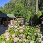 Горящие туры в отель Villa Anastazis - Penzion Eden - 4