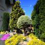 Горящие туры в отель Villa Anastazis - Penzion Eden - 2