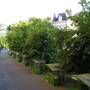 Горящие туры в отель Apartment Sofie - 5