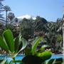 Горящие туры в отель Hotel Atlantic El Tope - 5