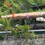 Горящие туры в отель Coconuts Beach Resort - 2