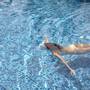Горящие туры в отель Iberostar Bellevue - 1