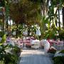 Горящие туры в отель Miramare Beach - 2
