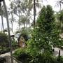 Горящие туры в отель Sheraton Senggigi Beach Resort - 5