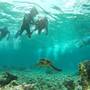 Горящие туры в отель Equator Beach inn - 2