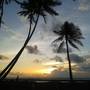Горящие туры в отель Lily Rest Maldives - 2