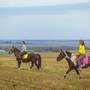Горящие туры в отель Holiday Home Vytba - 4