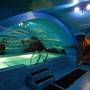 Горящие туры в отель Hostel na Oktyabryskoy - 1