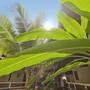 Горящие туры в отель Thai House Beach - 4