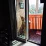 Горящие туры в отель Apartment Landysh - 2