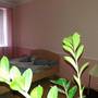 Горящие туры в отель Brestskaya Apartment - 6