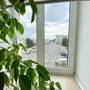 Горящие туры в отель Apartment Lenin Square 1 - 2