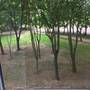 Горящие туры в отель Apartment on M1 Highway - 4