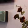 Горящие туры в отель Apartment On Sovetskaya 103 - 5