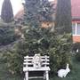 Горящие туры в отель Holiday Home Alexandr - 4