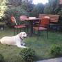 Горящие туры в отель Guest House On Varshavka - 5
