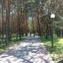 Горящие туры в отель Apartment on Orlovskaya 35 - 4