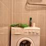 Горящие туры в отель Apartment Green Park - 6