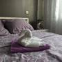 Горящие туры в отель Apartments on Suvorova - 6