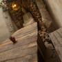 Горящие туры в отель Hostel Jones - 6
