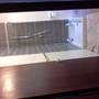 Горящие туры в отель Armand Court, Flat 6 - 6
