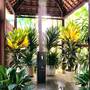 Горящие туры в отель Hoi An Ancient House Resort & Spa - 6